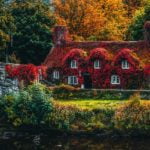 a house with trees and grass
