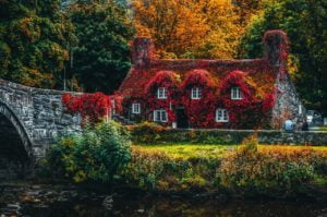 a house with trees and grass