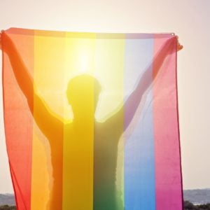a person holding a flag