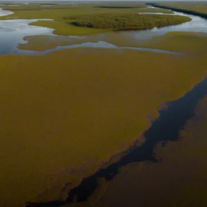 a panoramic view of the everglades at sunset, where the sky turns into vibrant colors above the sprawling marshlands.